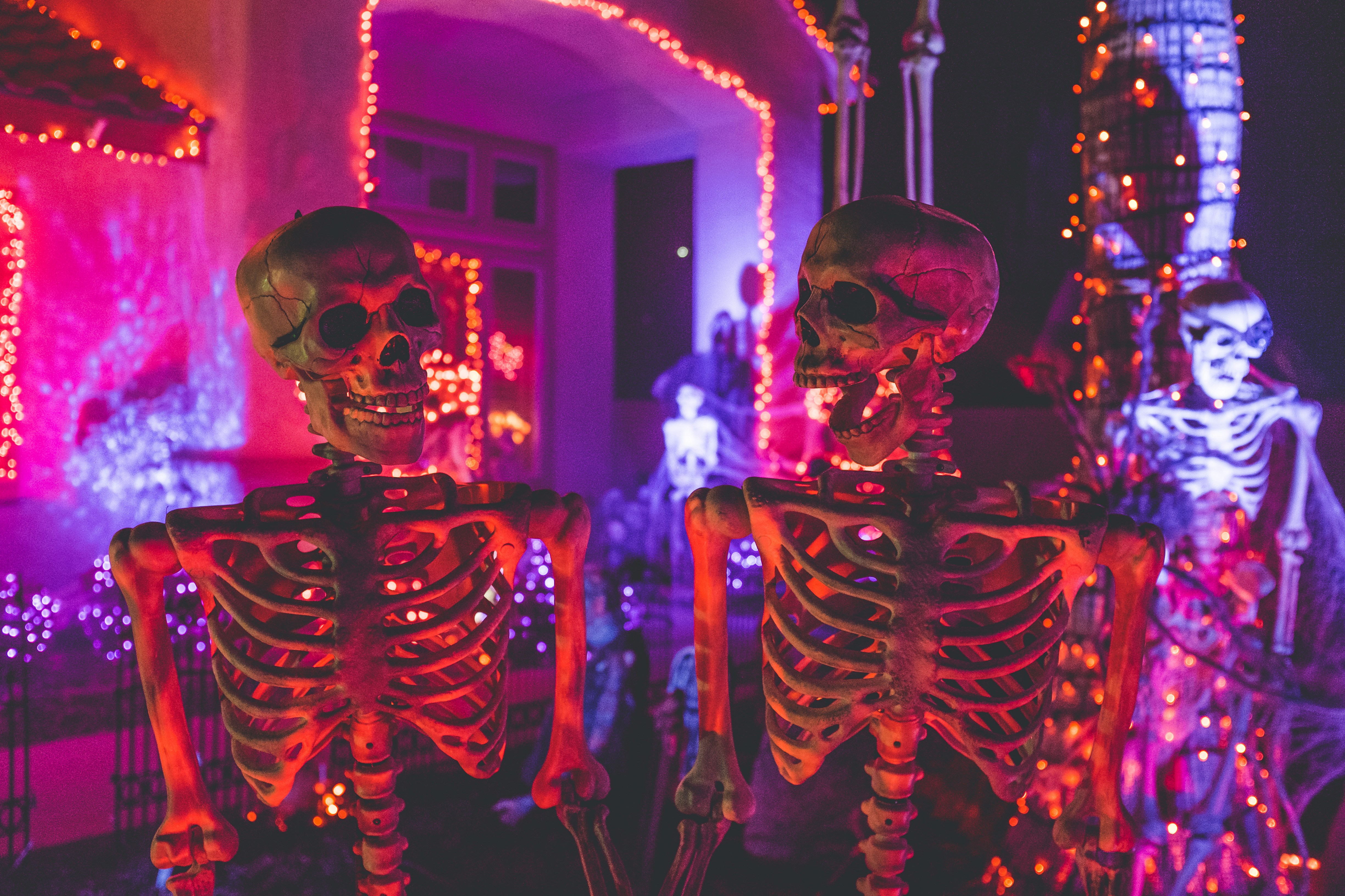 Deux squelettes dans un décor festif d'halloween